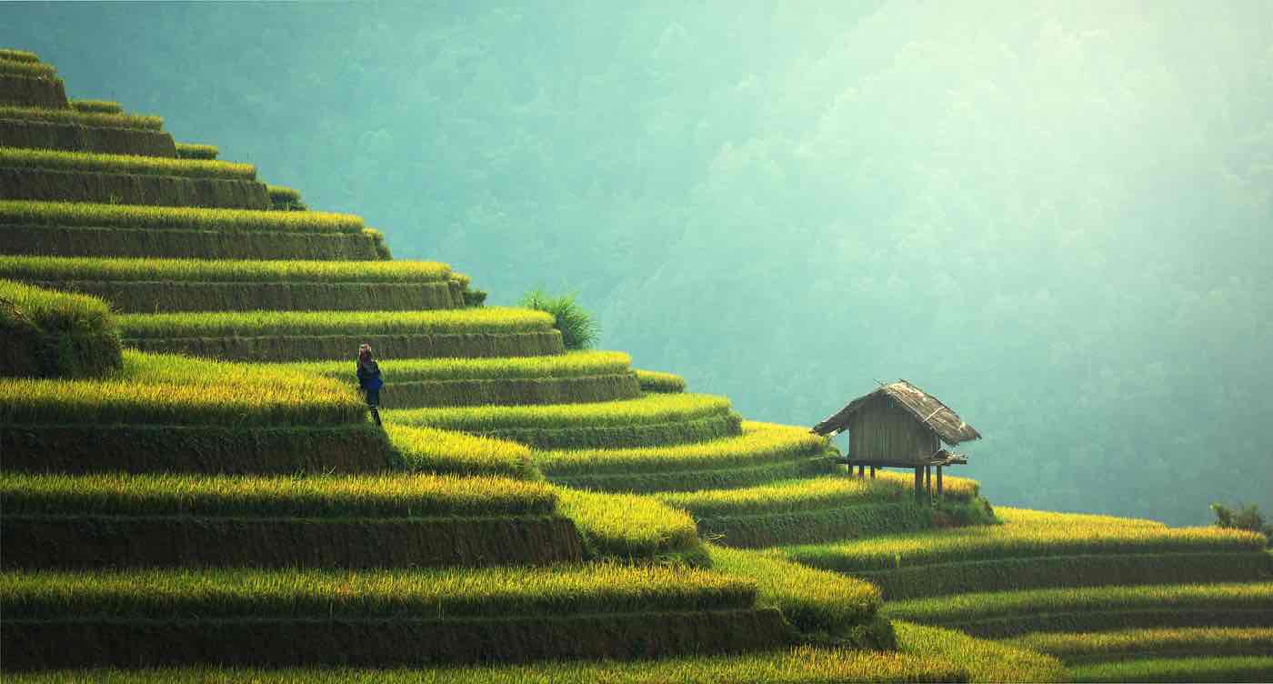 Le Vietnam s'engage pour la durabilité