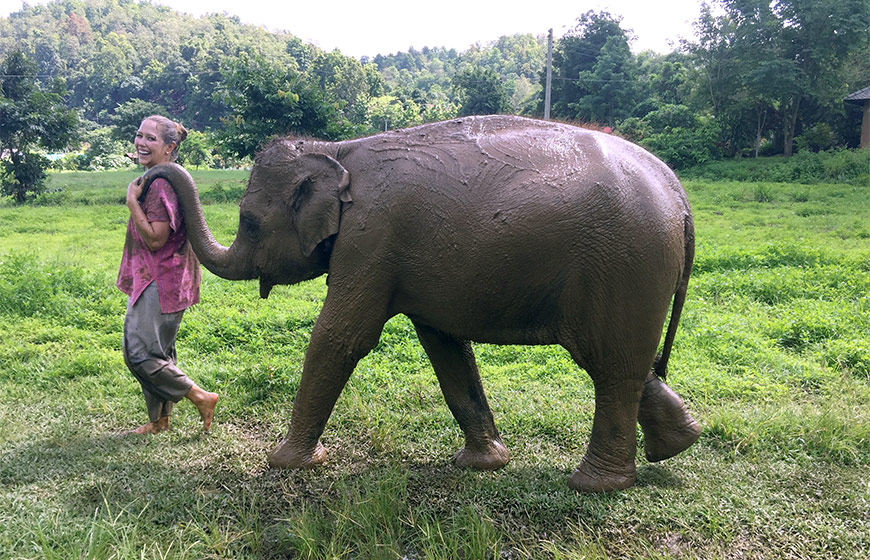 Ethical & Humane Elephant Sanctuaries in Southeast Asia