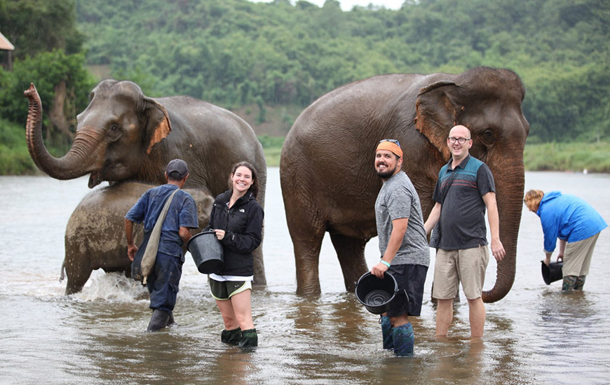 Ethical elephant encounters