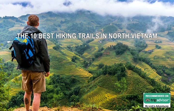 The 10 Best Hiking Trails in North Vietnam