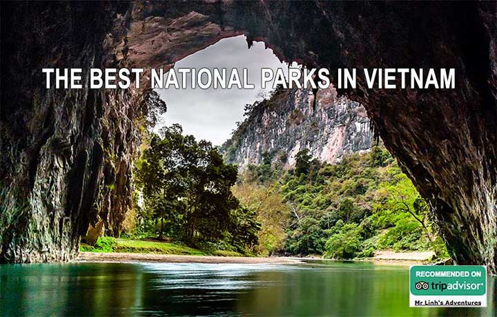 The Best National Parks in Vietnam