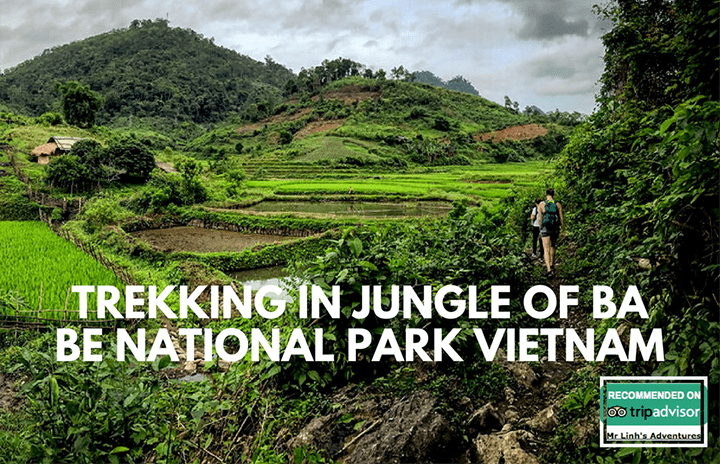 Trekking in Jungle of Ba Be National Park Vietnam