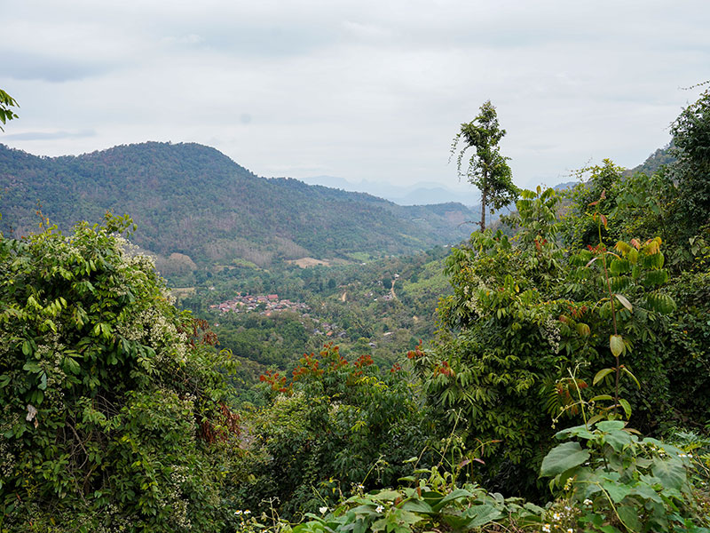 In the heart of forests and mountains