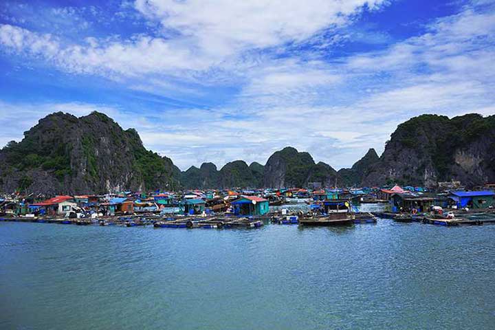  [Cua Van floating village, Lan Ha bay. Vietnam]