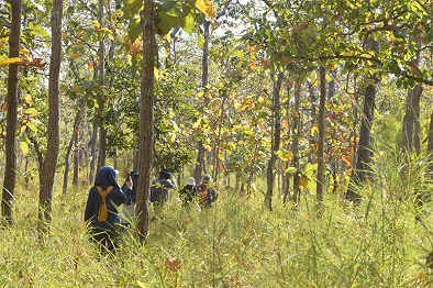 Yok Don National Park Da Lat