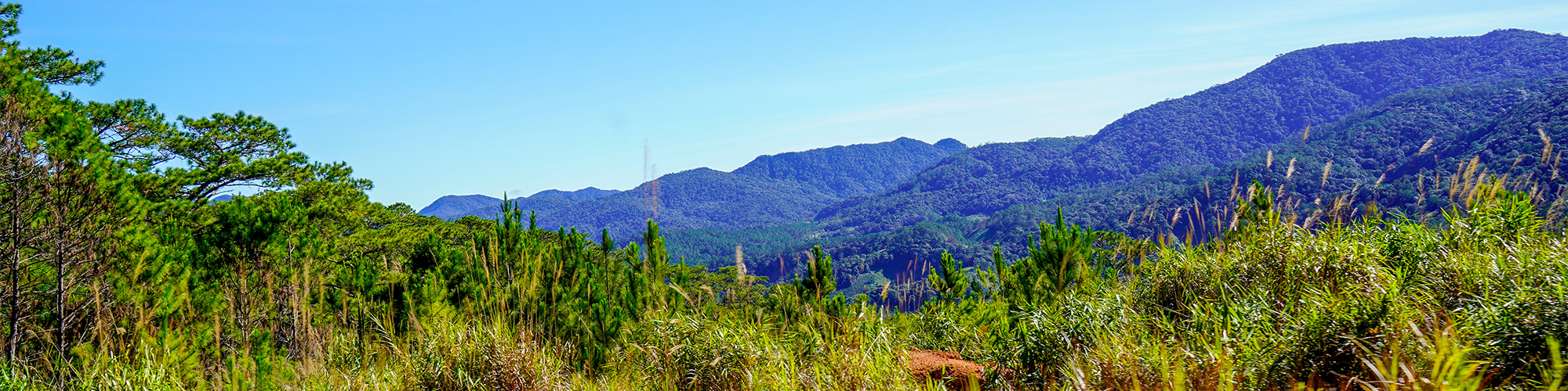 Da Lat travel guide