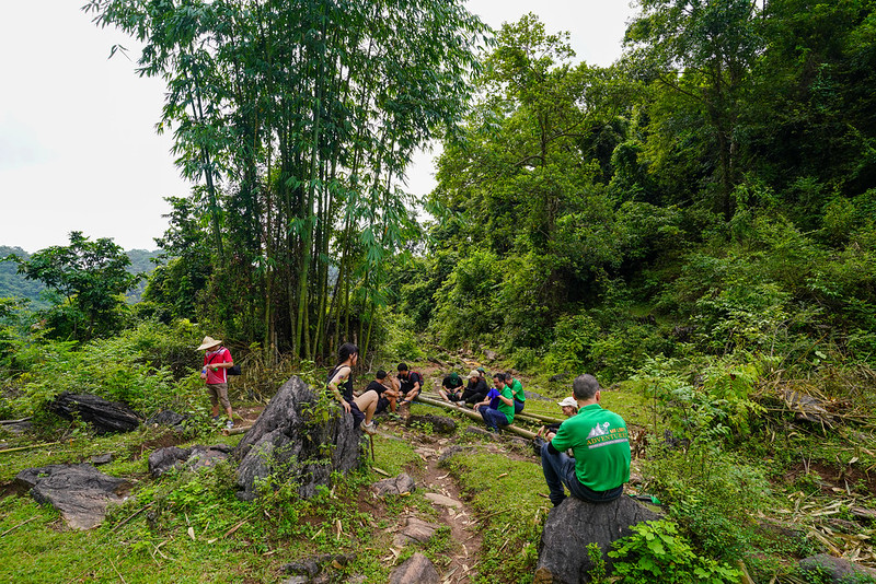 Cat Ba National Park