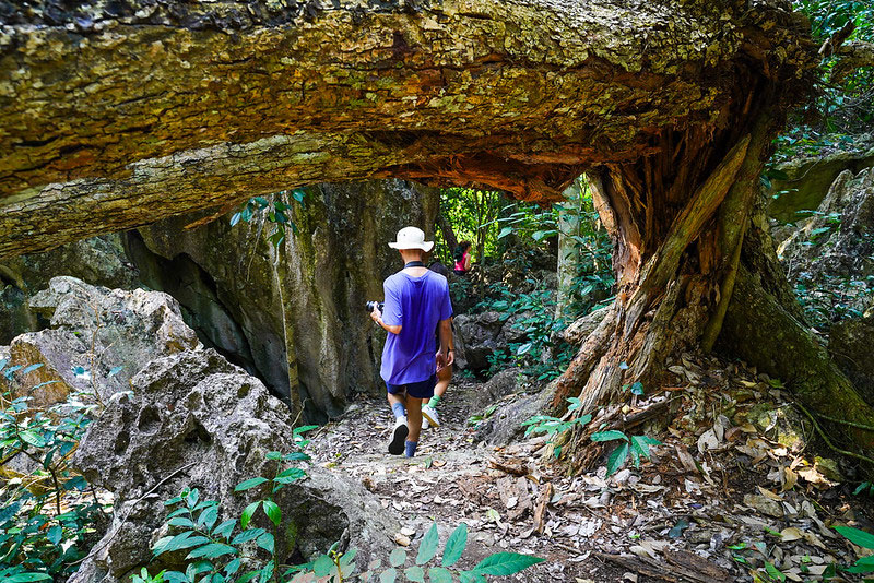 18 Days - Cultural and natural Vietnam & Cambodia