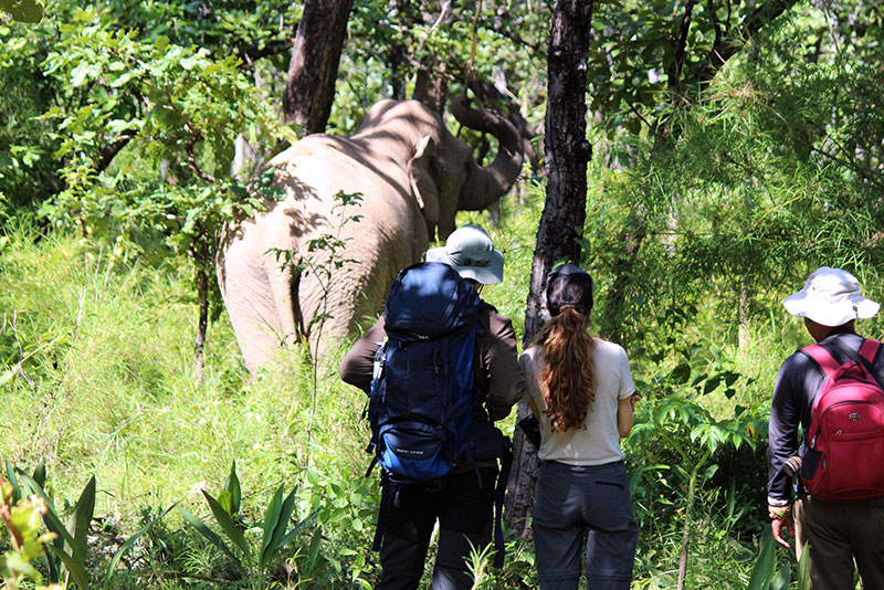 7 Days trekking adventuren in southern Vietnam