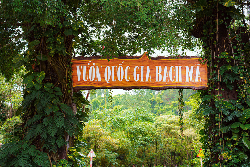 Hiking in Bach Ma National Park