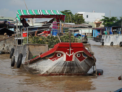 Adventure in Mekong Delta