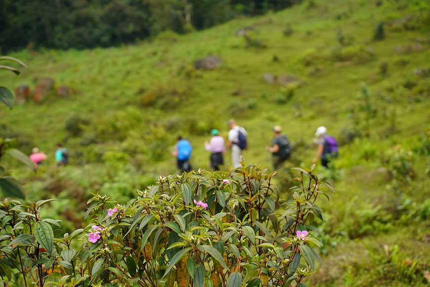 du-gia-hiking