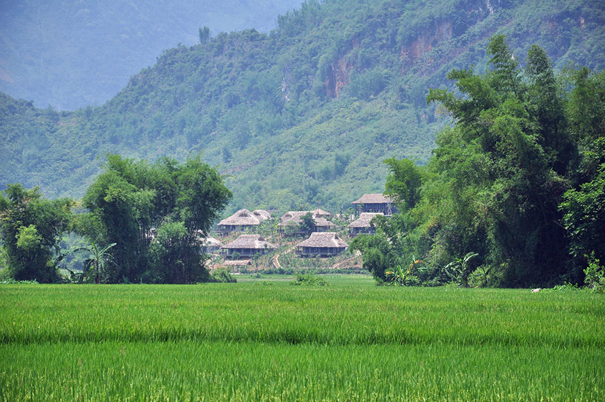 family-hike_mai-chau