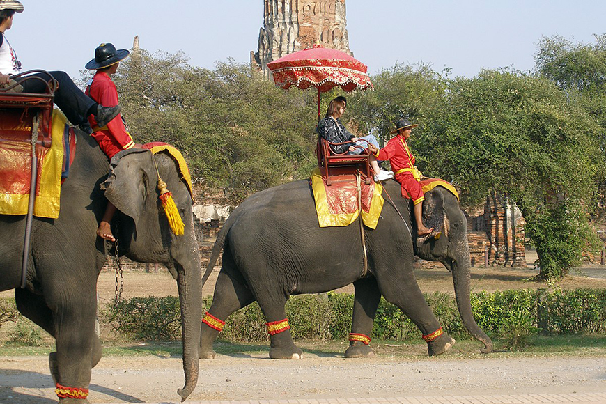 elephant-thailand