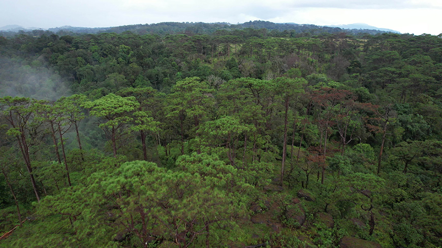 bolaven-plateau