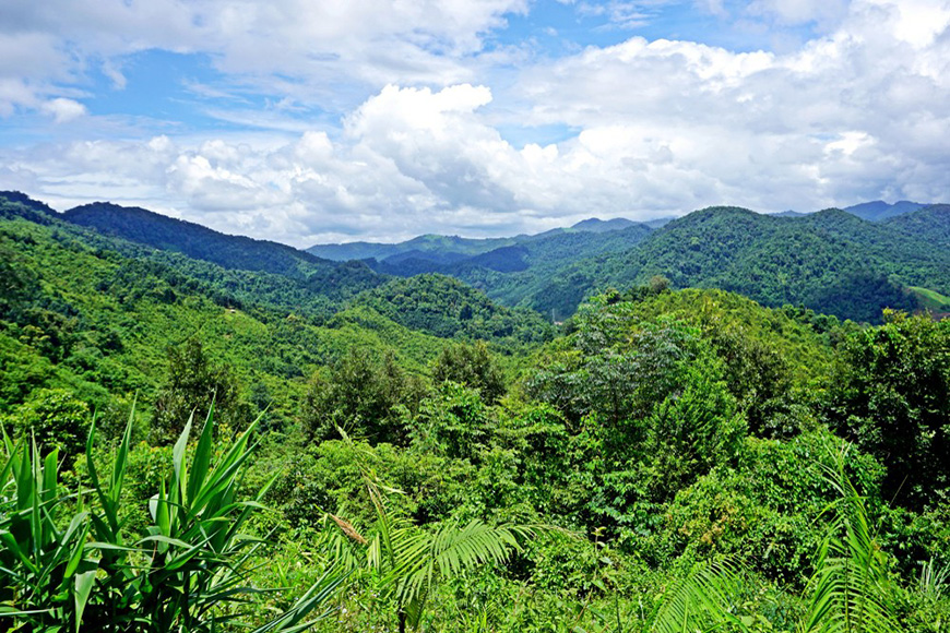 nam-ha-laos