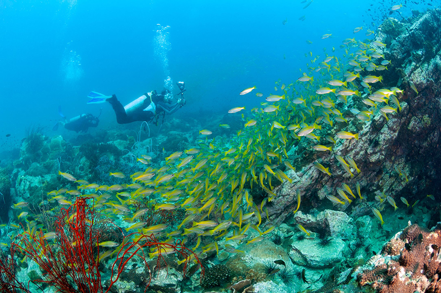 diving-thailand