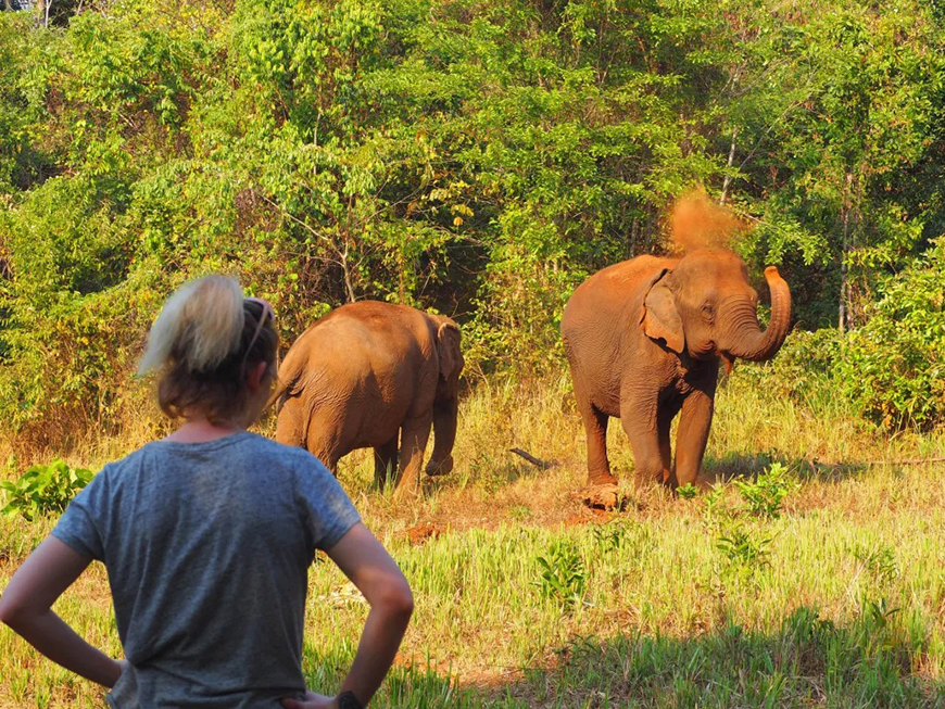 elephant-valley