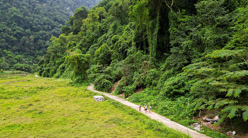 trek-bbnp