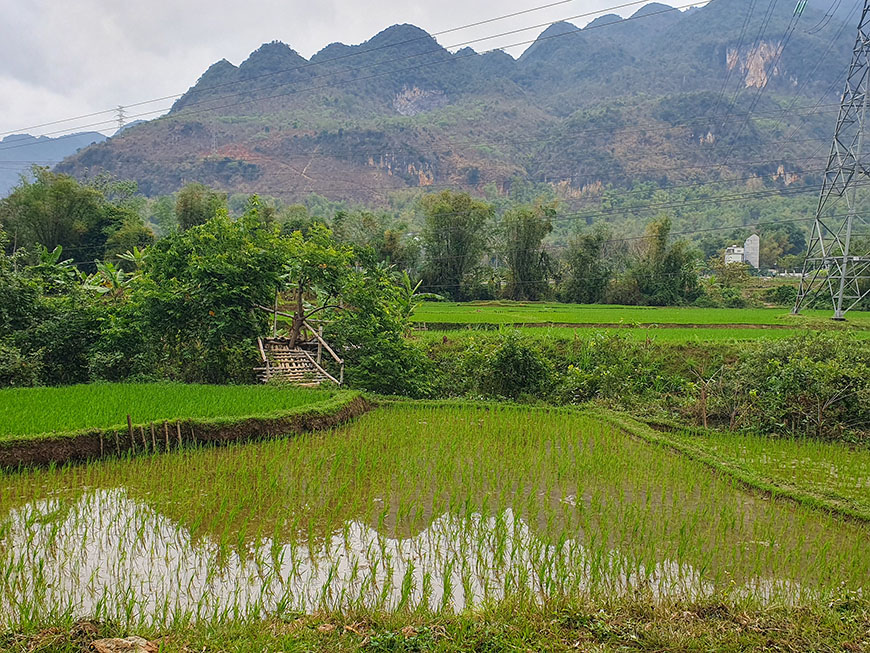 mai-chau