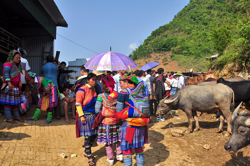 bac-ha_market