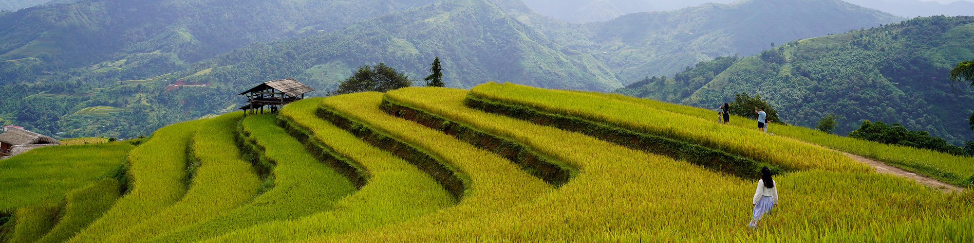 Mu Cang Chai highlights and travel guide