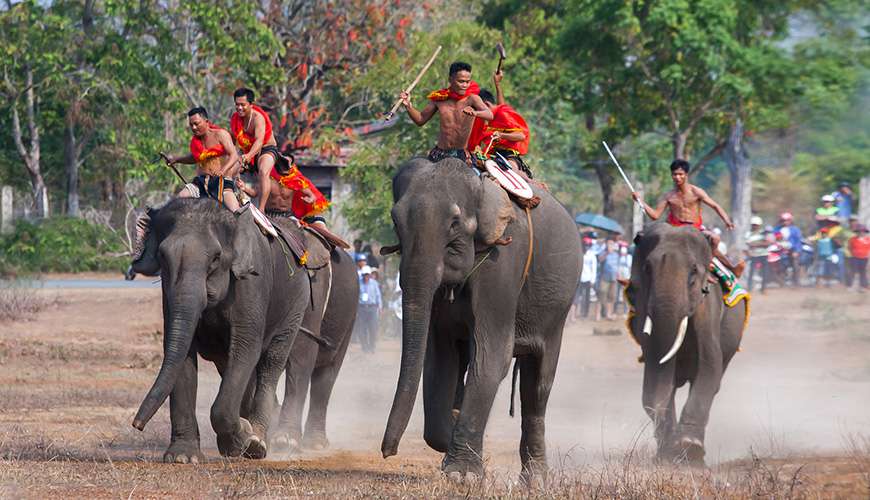 The Elephant Racing Festival in Dak Lak