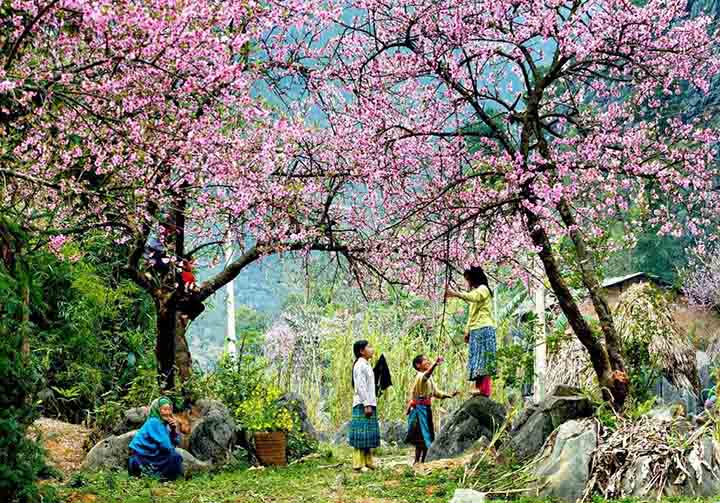 spring in Vietnam