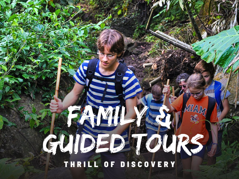 Family tours