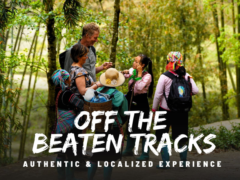 Off The Beaten Track Tours