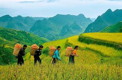 Discover Hagiang 4 days