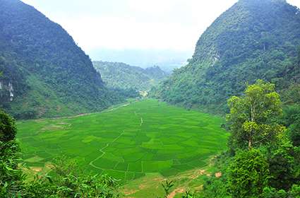 Pu-Luong-nature-reserve