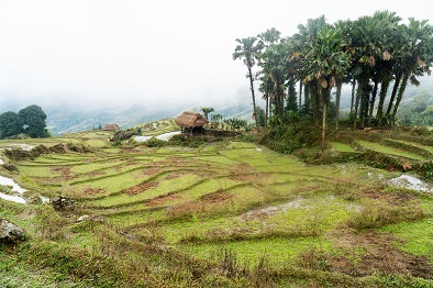 Ha Giang hiking trails 