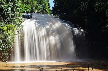 Dambri falls