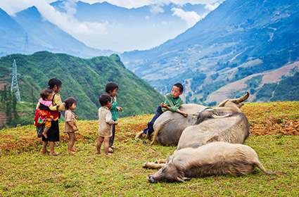 children with buffaloes in Ta Van village